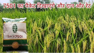 Sava7501dhan || सब 7501 धान स्मार्ट वैरायटी || धान की सबसे बेस्ट वैरायटी