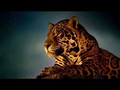 Emotional Chill Out Music Enigma Hd 