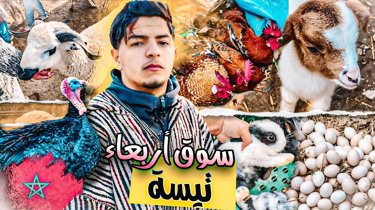 جولة في سوق أسبوعي ‏والبحث عن دجاج البلدي ❤️ سوق أربعاء تيسة اتمنة الحولي 🤯