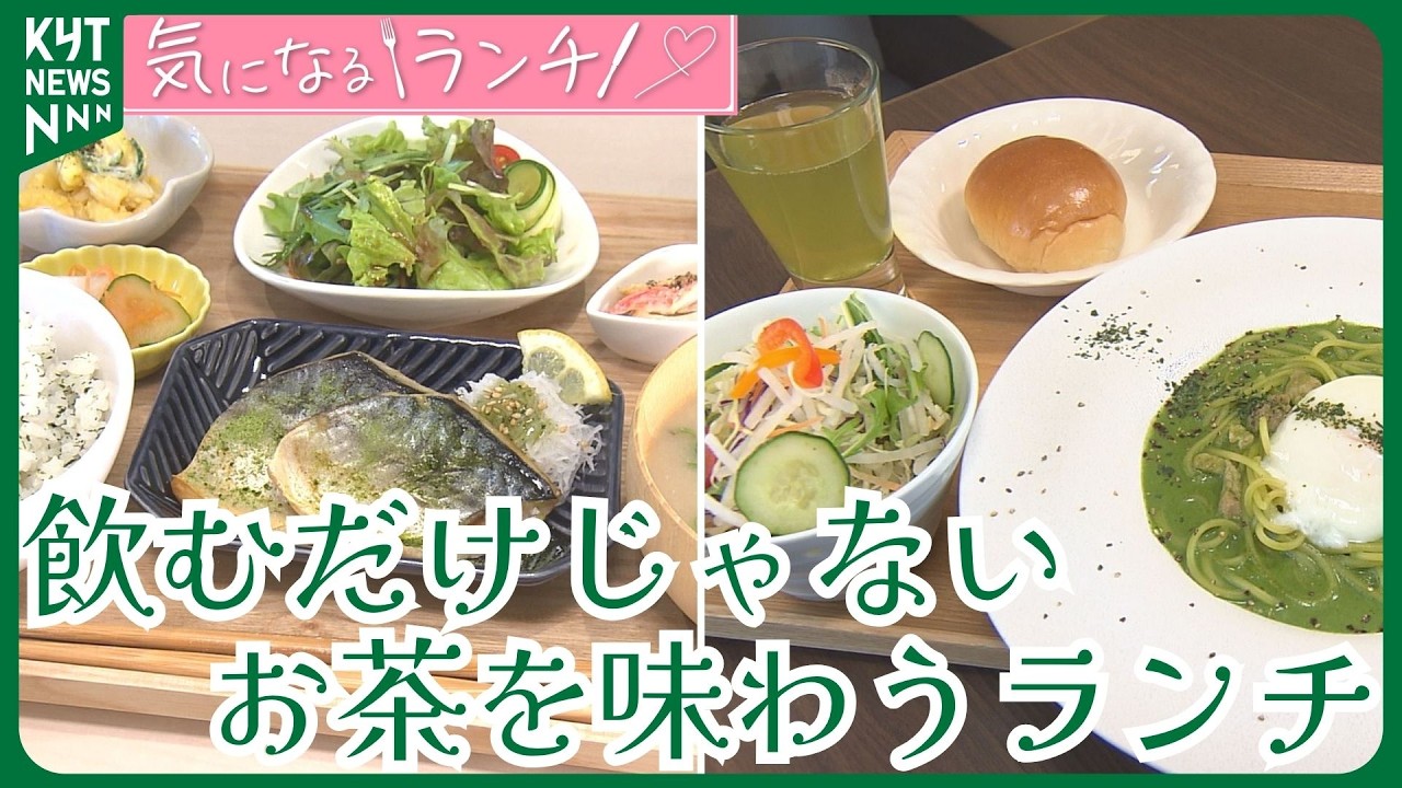 気になるランチ”お茶を味わう”パスタや魚料理　自宅でできる簡単お茶レシピも！