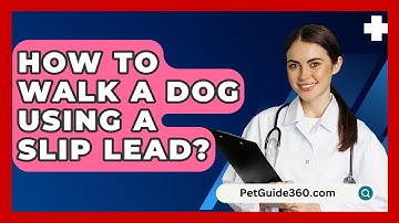 How To Walk A Dog Using A Slip Lead? - PetGuide360.com