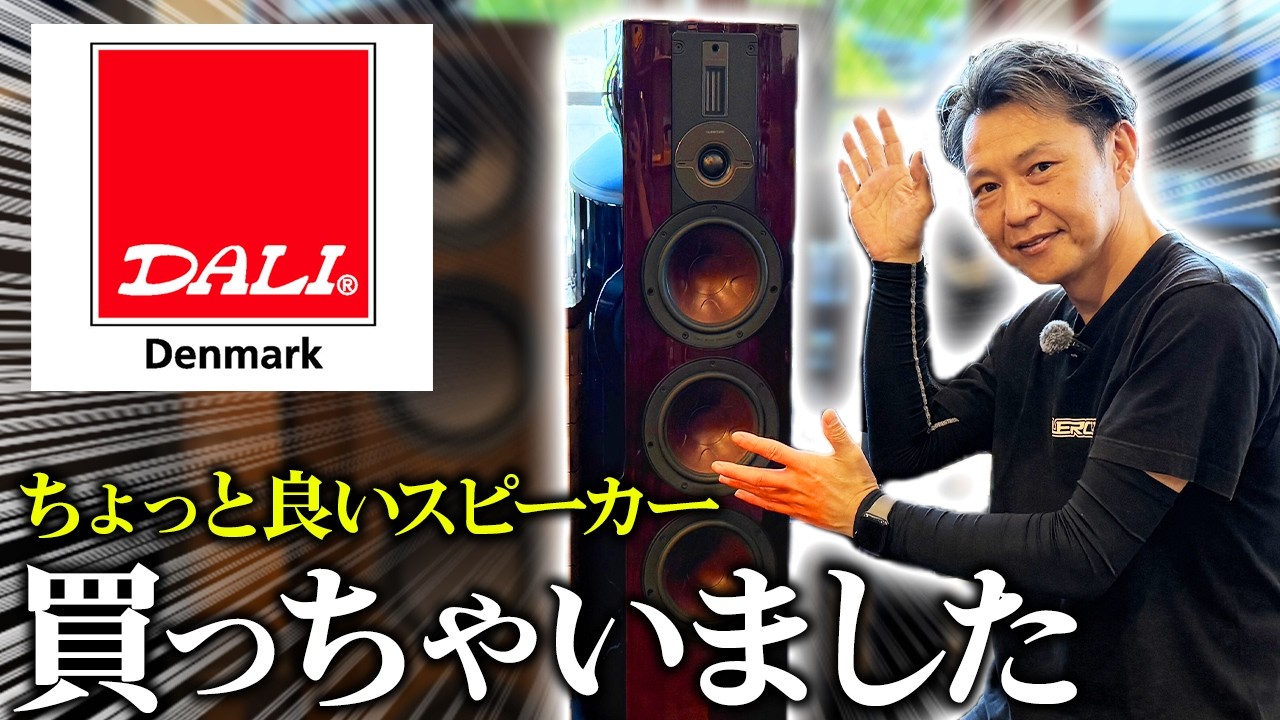 Home Audio] DALI Tallboy Speakers Have Arrived at Leroy!? From