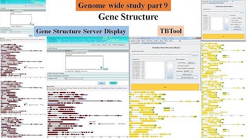 Genome wide study Part 9 | gene structure | exon intron