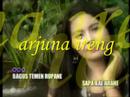 arjuna ireng...dian anic