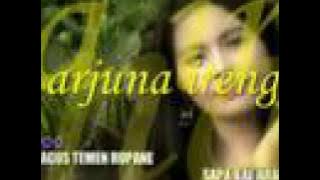 arjuna ireng...dian anic