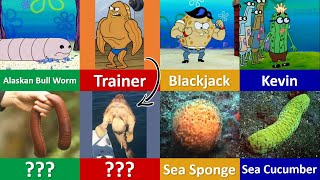 115 All Spongebob Squarepants Characters in Real Life