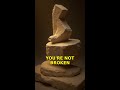 Seneca: You're Not Broken. You're Being Forged. #stoicism #philosophy #seneca