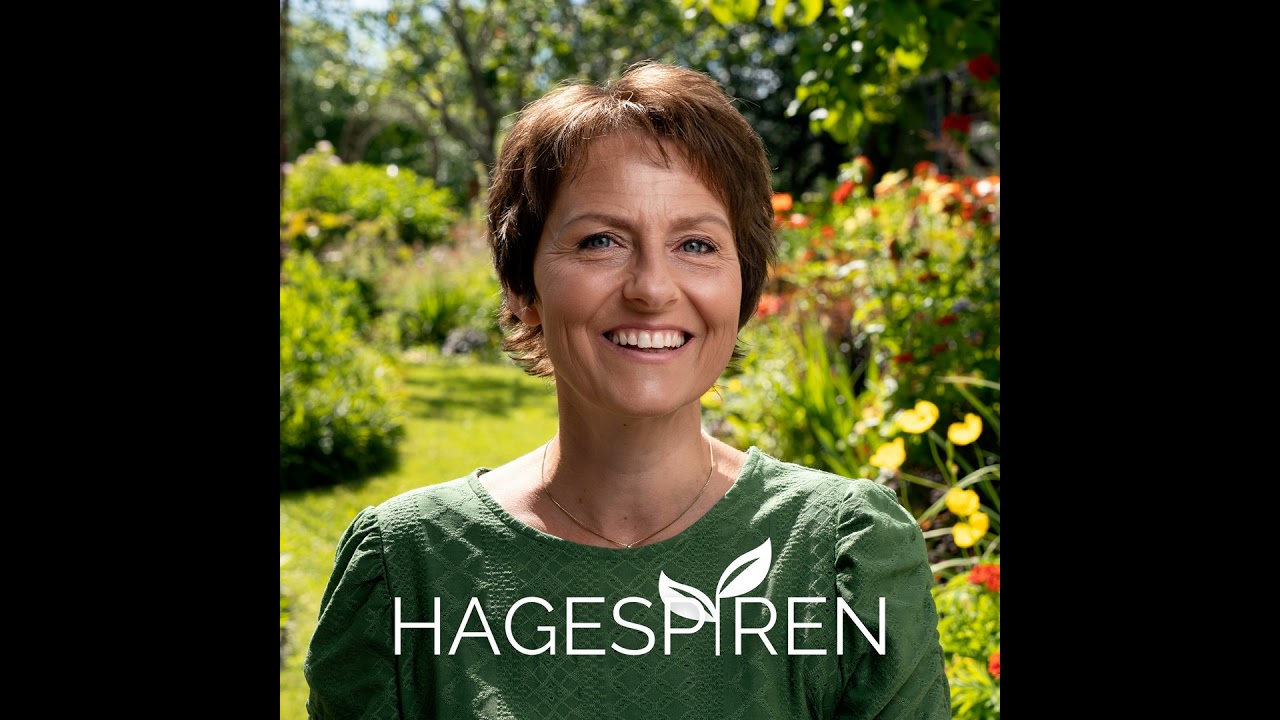 41/25: Senhøst i hagen
