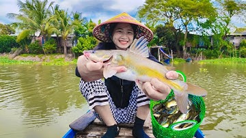 Bí Kíp Giăng Câu Cá Lăng Khủng Khi Vào Mùa - Cách Câu Hiệu Quả | Fishing
