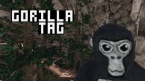 ZosterDragon is playing gorilla tag!!