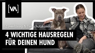 Die wichtigsten 4 Haus-Regeln für deinen Hund + ? kostenlose Checkliste Hundeeinrichtung