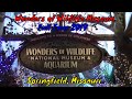 Wonders of Wildlife Museum Full Tour - Springfield, Missouri