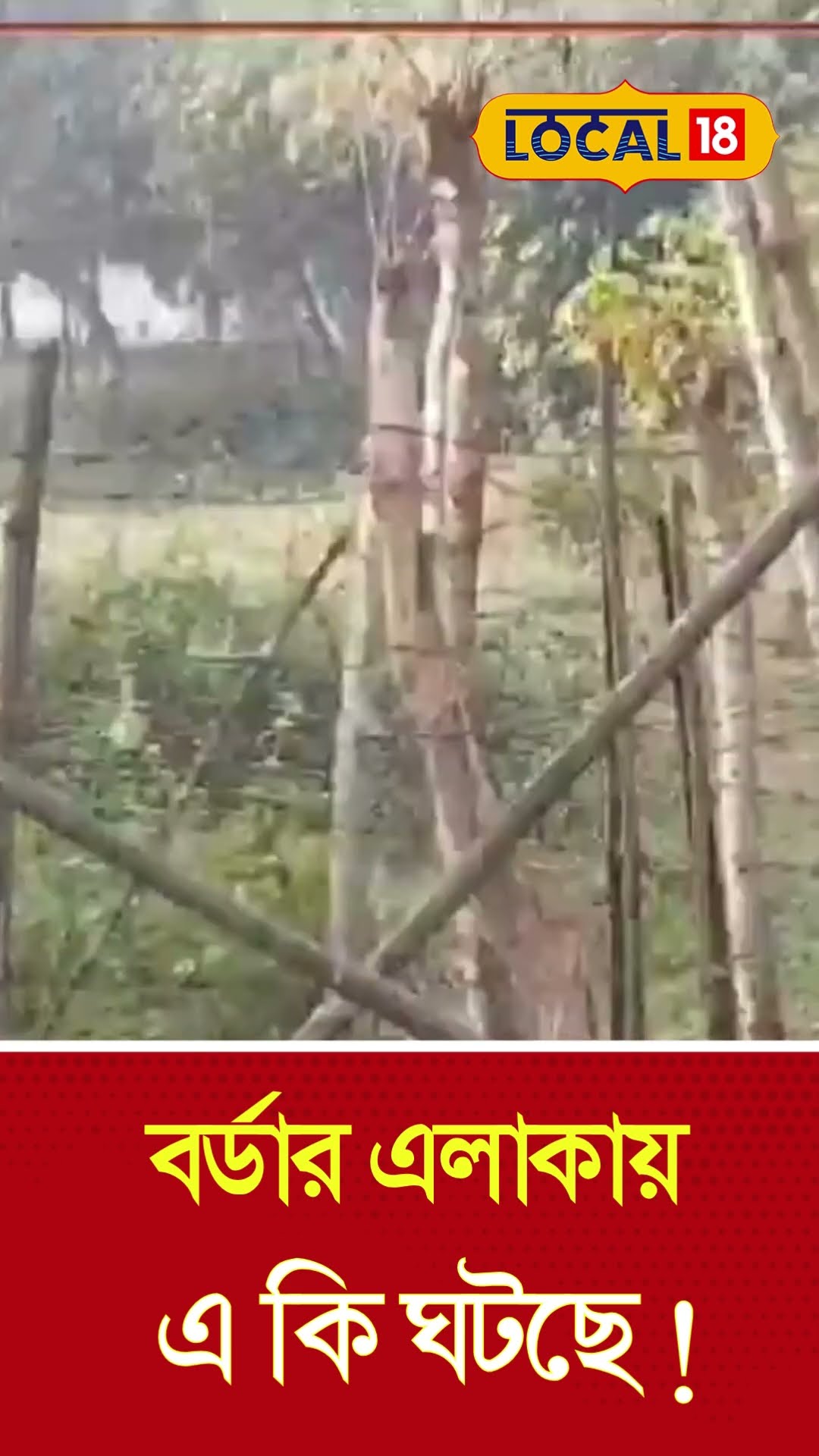 Bangla News | BGB -র বাঁধায় কাঁটাতারের বেড়া স্থাপন বন্ধ! এরপর যা ঘটছে! | BSF |  #local18shorts
