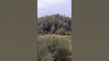 اقرءوا سورة البقرة فان اخدها بركة وتركها حسرة ولا تستطيعها البطلة
