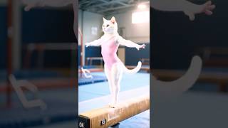 Gymnastics Cat