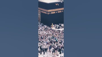 يا أيها الذين آمنوا اطيعوا الله و رسوله/#سورة_الأنفال /#المنشاوي
