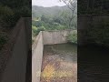 落ちた猪が壁を仰ぎ、水底を行きつ戻りつする