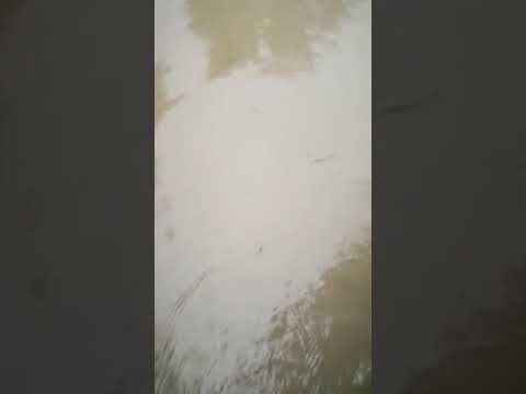 Рено мин воды