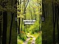 The Power of Nature on Mental Health