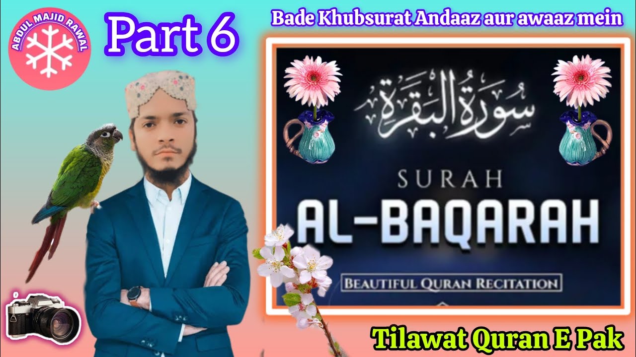 new islamic video (سورۃ البقرہ) Surat Al Baqarah new Awaz aur Aala Andaaz mein Tilawat Quran E Pak❤️