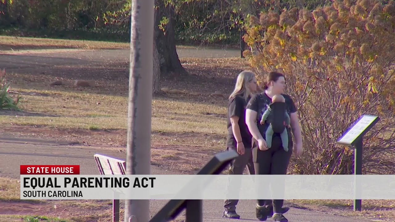Equal Parenting Act aims to update South Carolina family law