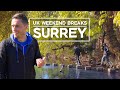 UK Weekend Breaks | SURREY | Box Hill, North Downs Way, Greensand Way, Reigate Hill