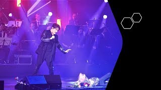 Dimash Димаш - "Love Is Like A Dream", Dusseldorf. So good! Soulful and skillful!! What is your say?