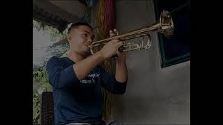 Nothings Gonna Change My Love For You  George Benson trumpet Cover 