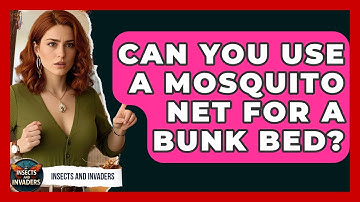 Can You Use A Mosquito Net For A Bunk Bed? - Insects and Invaders