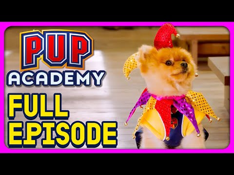The King Sting | Pup Academy Full Episode S2E5