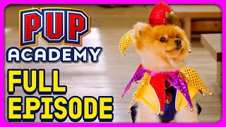 The King Sting | Pup Academy Full Episode S2E5