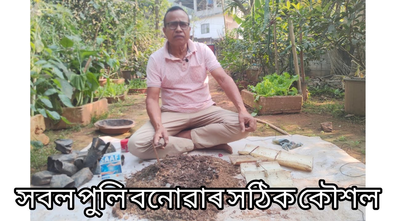 সুষ্ঠ সৱল পুলি কেনেকৈ বনাব পাৰি।(How can healthy and strong seedlings be prepared)