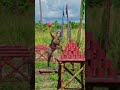 Survivor S WILDEST Season 