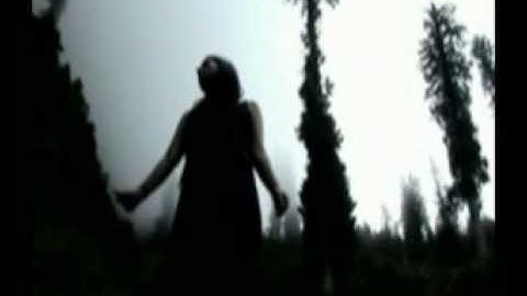 Brain Leisure - defect