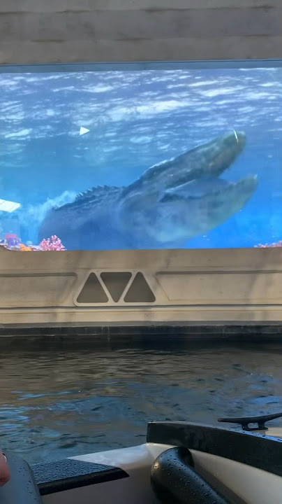 MOSASAUR TANK #jurassicworld #jurassicpark #universalstudios #mosasaurus #prehistoric #sharks #dino