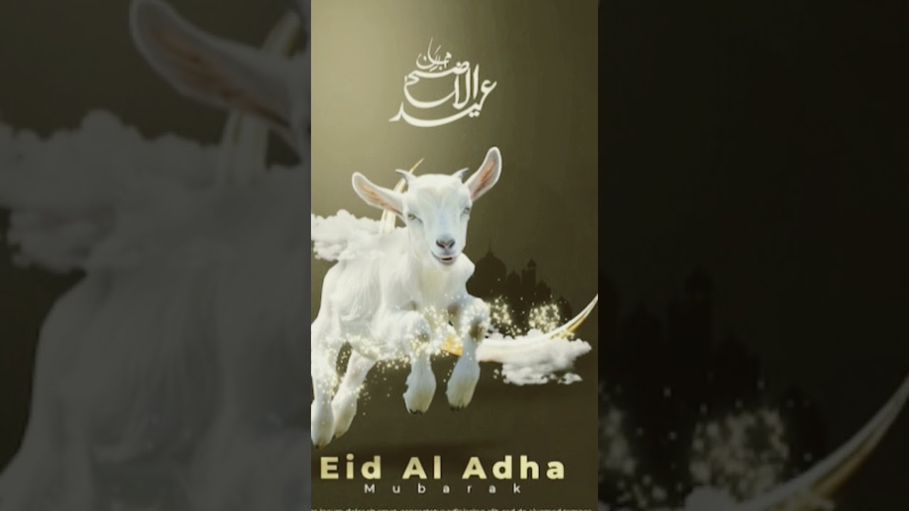 eid ul adha status full screen || 