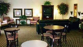 Quality Inn Holly Springs - Holly Springs (Mississippi) - United States