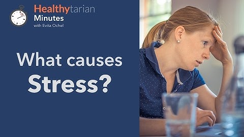 Stressors and Common Causes of Stress (Healthytarian Minutes ep. 1)