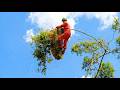 Master of Height: 100m Deadly Climb with No Rope