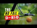 How to tie a simple D-rig using ONLY mono + a trick running lead system