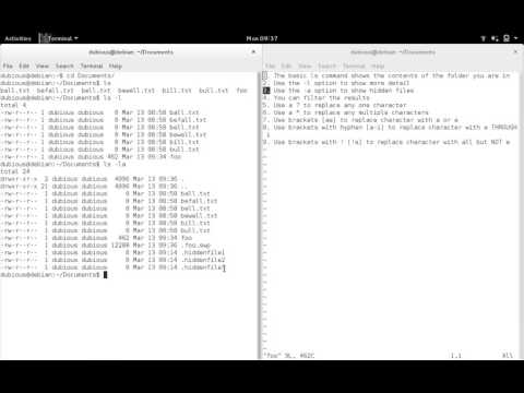 Bash basic ls cmd w filter options