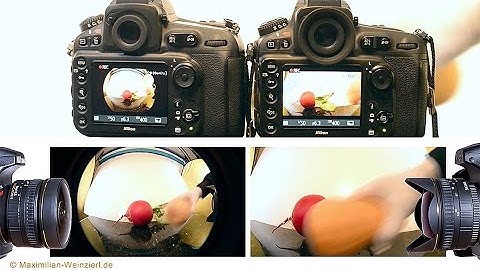 FishEyes  – unboxing and what