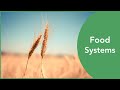 Global Food System In Numbers