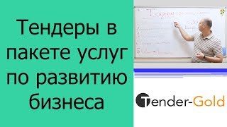 Тендеры как канал продаж в пакете услуг по развитию бизнеса Тендеры как канал продаж в пакете услуг по развитию бизнеса