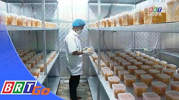 Hợp tác xã điển hình ứng dụng công nghệ cao trong nông nghiệp | BRTgo