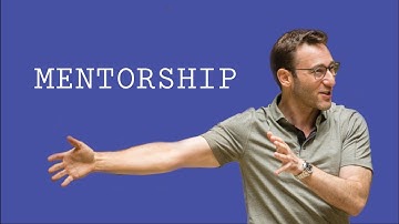 Mentor-Mentor Relationships