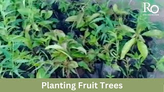 Regenerative agriculture : Climate friendly farming : Climate friendly farming practices