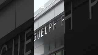 Child in Guelph calls 911 at least 129 times in one day