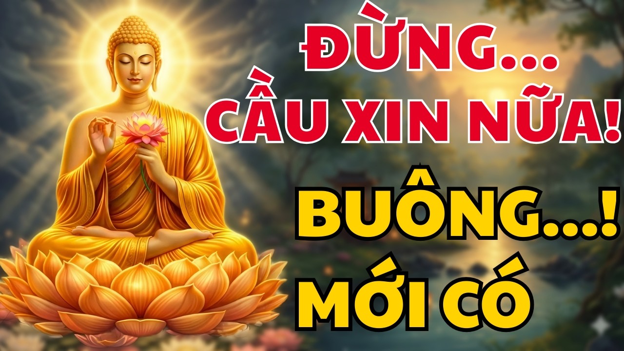 Bí Mật Của Phước Báu: Càng cầu càng khổ, buông bỏ là có tất cả- Sống nhẹ nhàng để tâm an lạc.