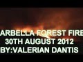 Marbella Forest Fire